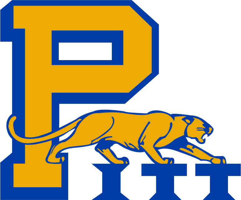 Pittsburgh Panthers 1972-1974 Primary Logo diy DTF decal sticker